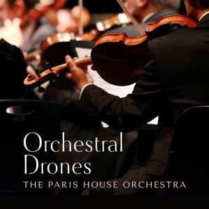 黄色一级操逼受不了
